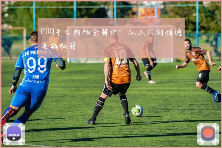 PDD平台购物全解析:从入门到精通省钱秘籍