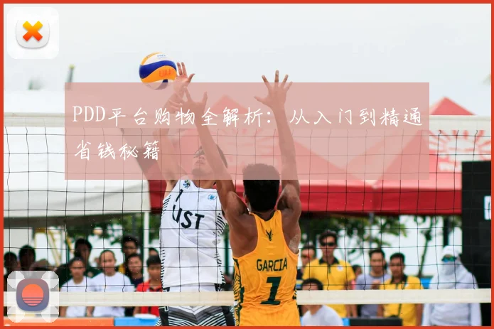 PDD平台购物全解析：从入门到精通省钱秘籍